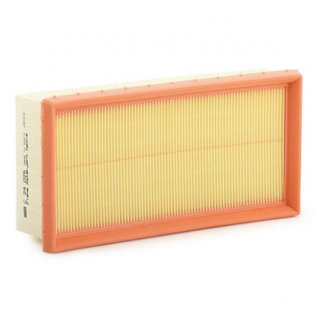 FILTRE A AIR C3 C ELYCe C4 CACTUS 301